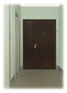 Тамбурная дверь СТАЛ-35